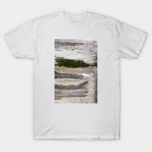 A mossy wall T-Shirt